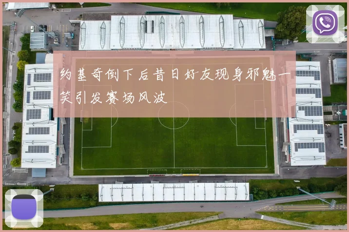 约基奇倒下后昔日好友现身邪魅一笑引发赛场风波